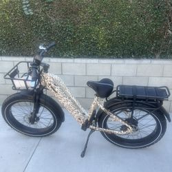 Dirwin E-bike