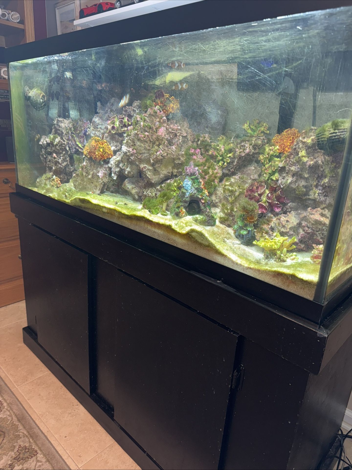 75 Gal. All Glass Aquarium