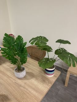 Fake Plants