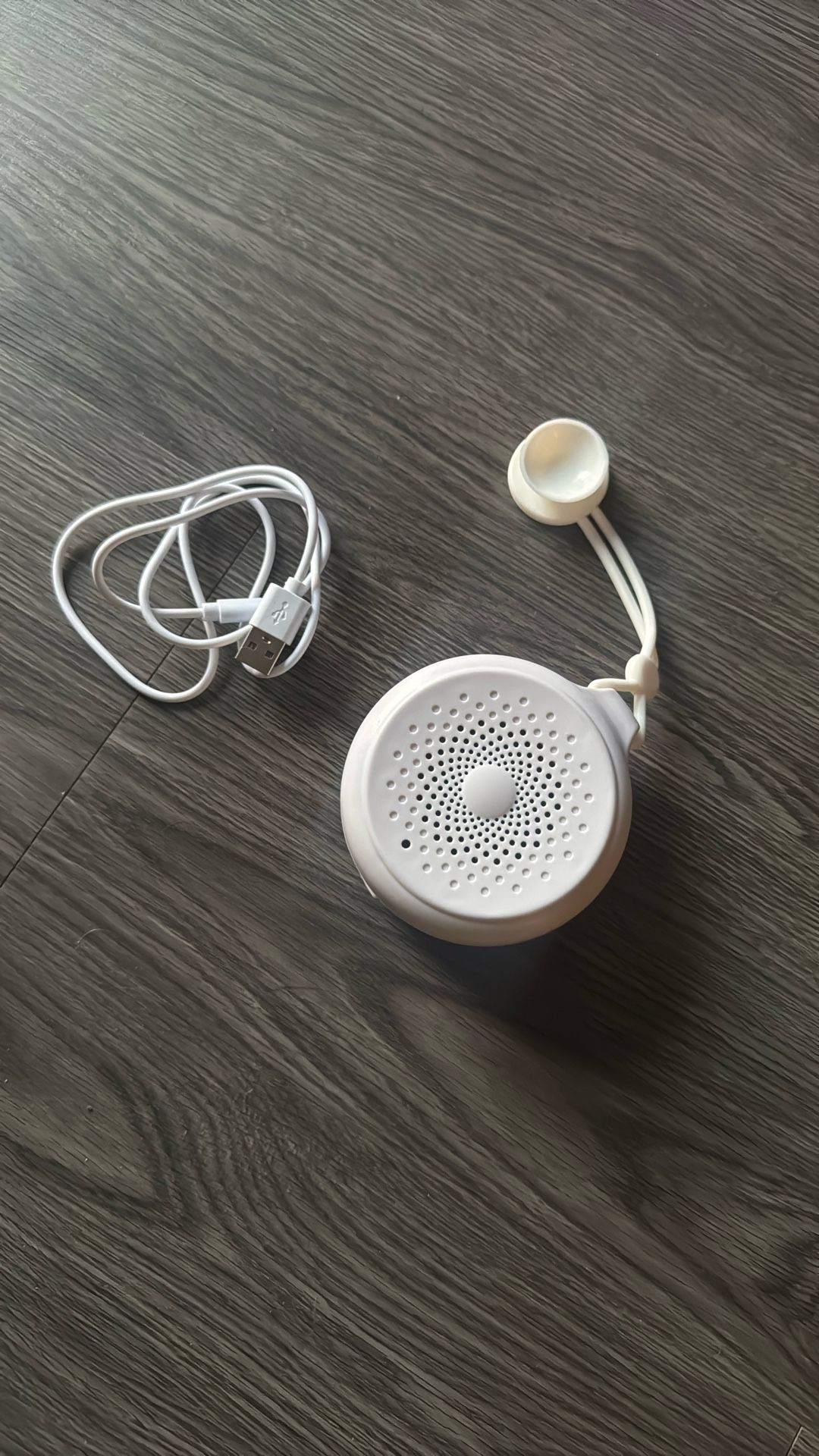 Brand New Wireless Bluetooth Chargeable Water Shower Speaker For Music Or Audio