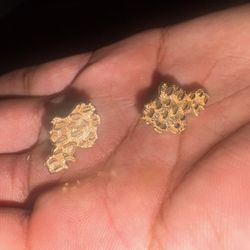 10k Earrings No Back Peice 