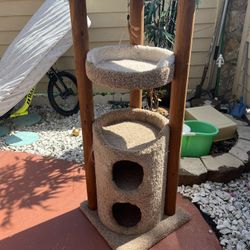 Cat Trees Solid Scratch Good 