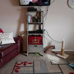 Ladder Stand, Grayish White