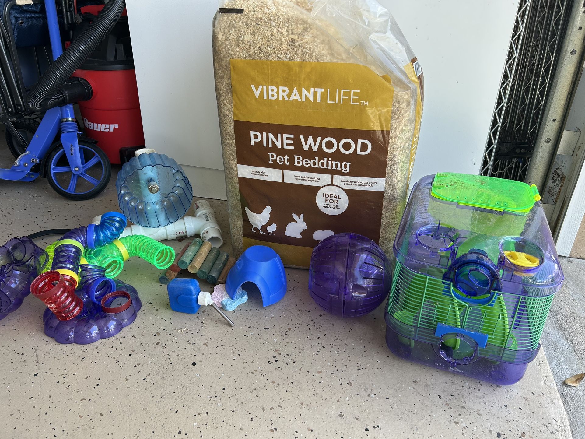 Hamster Toys