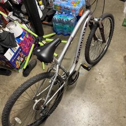 Schwinn adult bike 