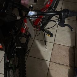 Dynacraft Gauntlet Mountain Bike 