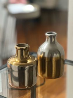 Set of 2 Decorative Bud Vases