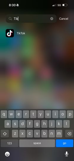 iPhone 15 Plus With Tik Tok (blue)