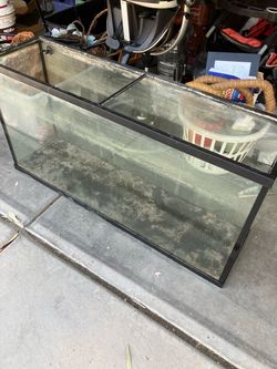 55 gal fish tank
