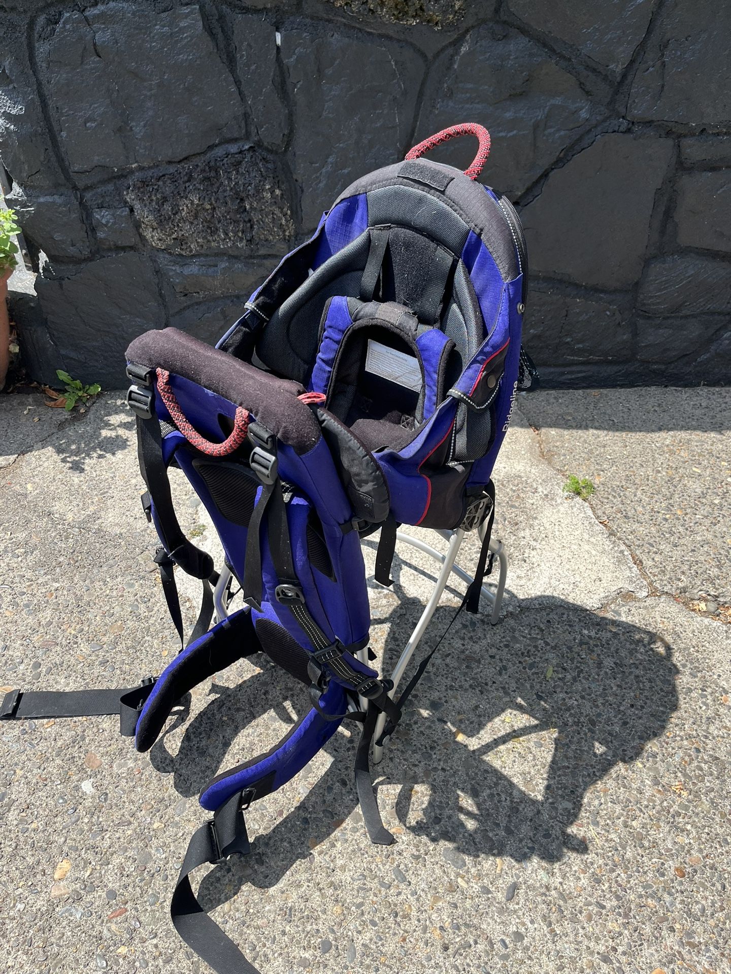 Kids Carrier Hiking Backpack