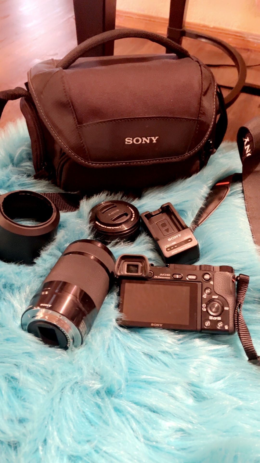 sony digital camera ax6000