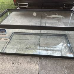 40 Gallon Tank 