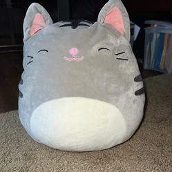 Squishmallows Grey Cat plushy