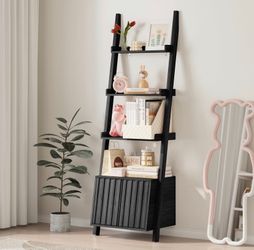 Ladder Shelf