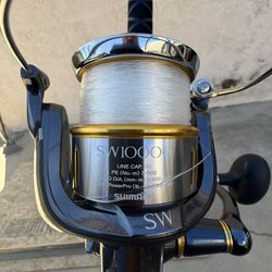 Shimano SW Twin Power 10000