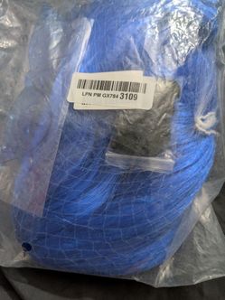 Blue Wig Short