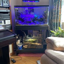 30 Gallon Reef Tank