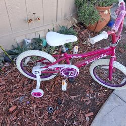 Little Girl Bicycle 