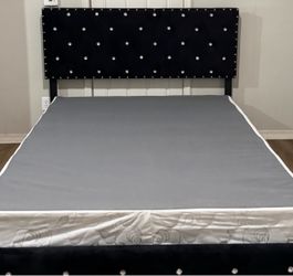 Queen Bed