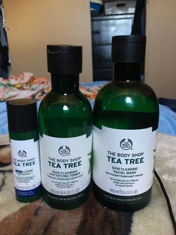 Tea tree