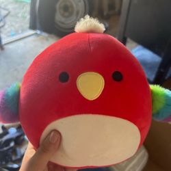 paco the parrot squishmallow