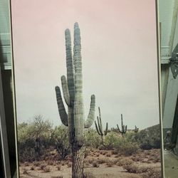 Cactus At Print