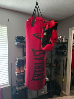 Everlast punching bag 80lbs with gloves