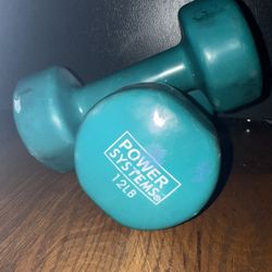 12 lb Dumbbells- Pair