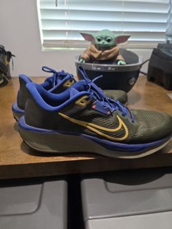 Nike Pegasus