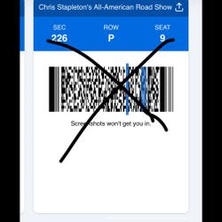 2 Chris Stapleton Tickets – June 13 – Van Andel Arena – $300 for Both (Row P Upper Level)