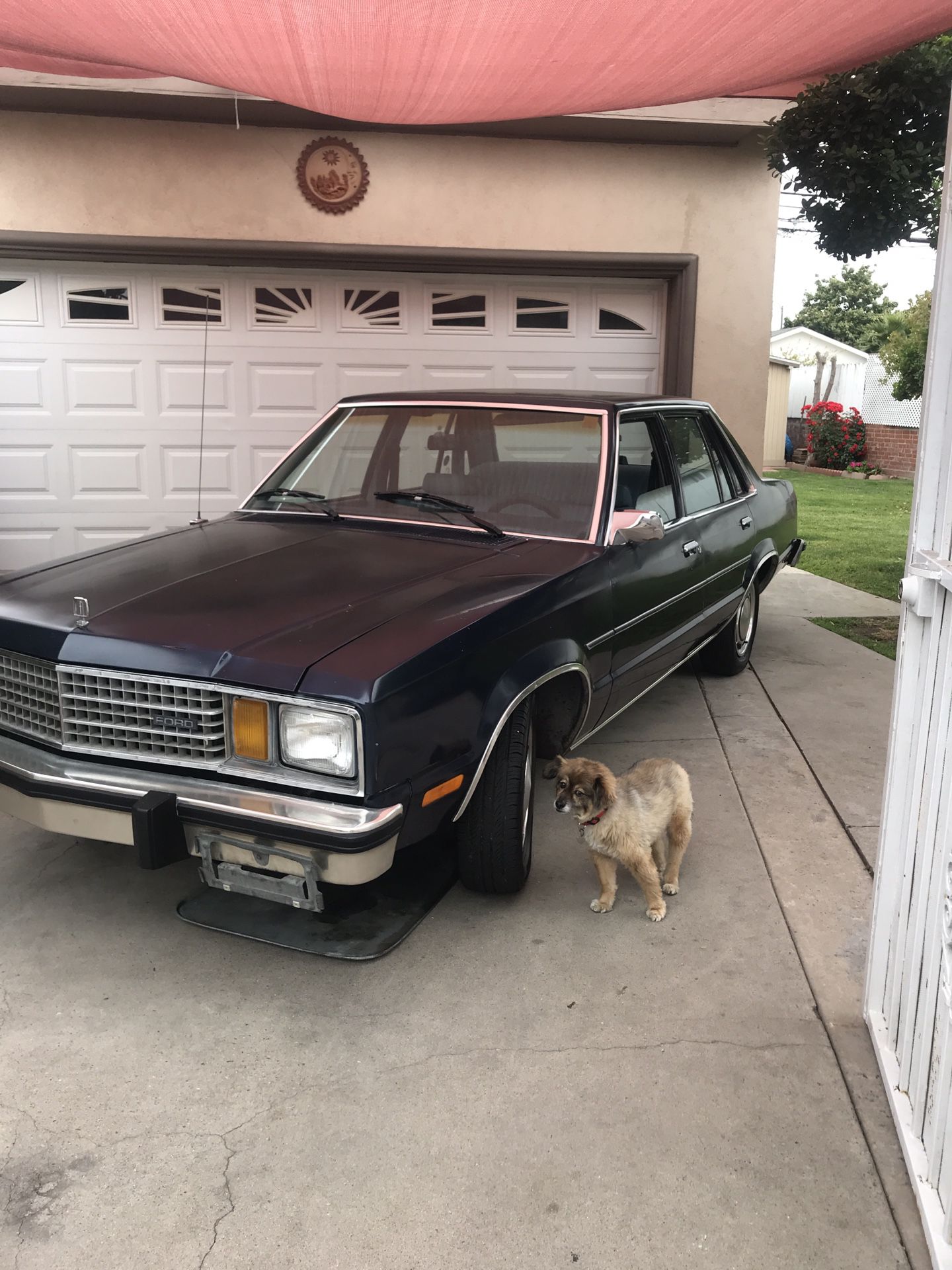 Photo 1979 Ford Fairmont One Owner 35000 Original Miles This Ones Very Clean Car Drives Great No Rust Clean