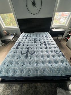 Stern & Foster Queen Size Mattress –Firm