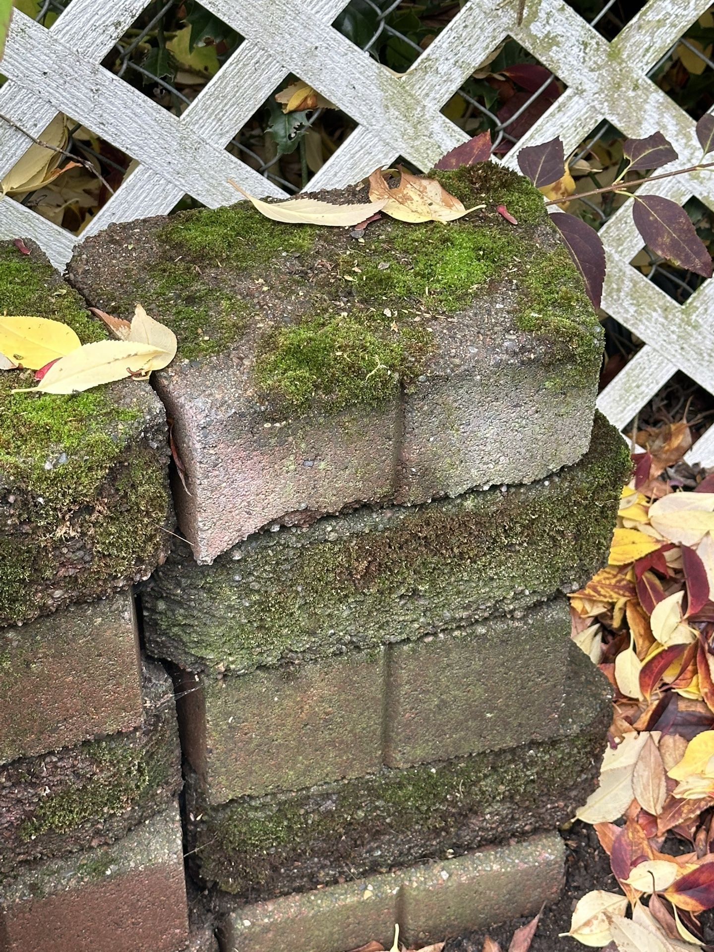 !!FREE!! Stone Yard Pavers !!FREE!!