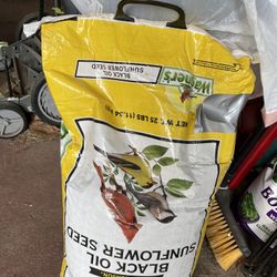 Sunflower Seeds