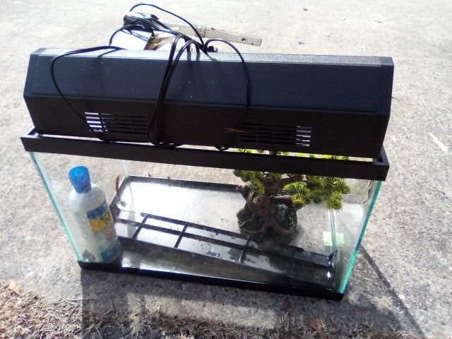 10 Gallon Fish Tank +Extras