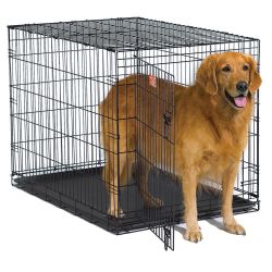 Xxxl 48” Dog Crate wire folding cage 48”x 30” x32”H double doors New in Box