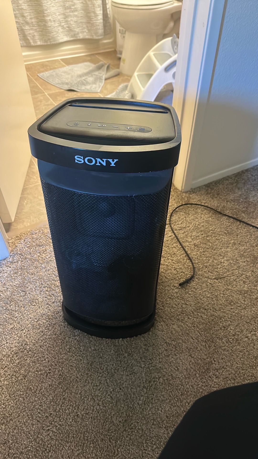 Sony speaker