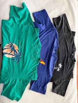 Men’s T-shirts. All three are included for the same price.