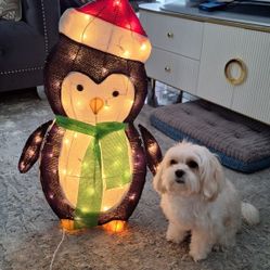 CHRISTMAS DECORATION  $20 