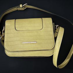 Aldo Purse