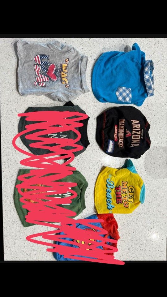 Small Dog Clothes