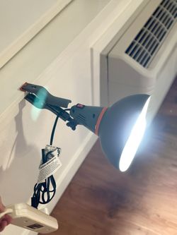 Spotlight Lighting l Influencer Lighting l Clip Everywhere You Want to Get Better Photos Result 