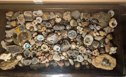 "Shadow box" coffee table/rock collection