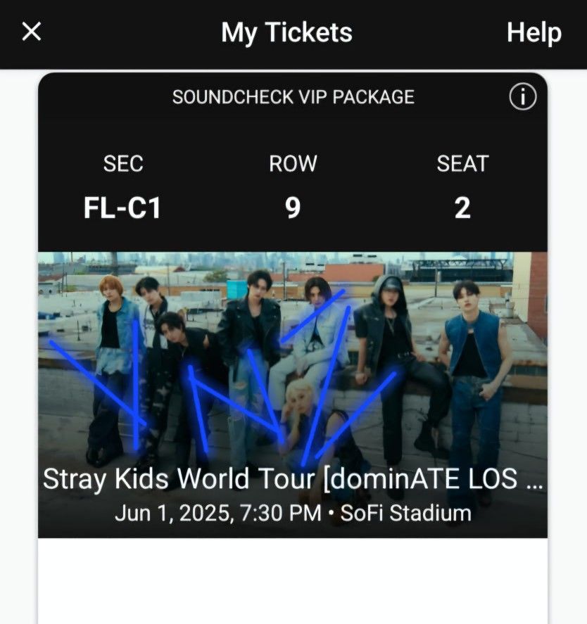 Stray Kids Ticket
