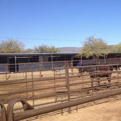 Shedrow Barn