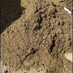 Horse Manure Fertilizer Good for plants Plantas Caballos Caballo