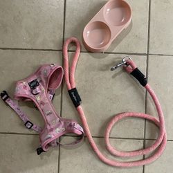 Pink Dog Set