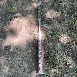 Bat