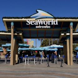 Seaworld Tickets $15 Each includes Parking Pass 