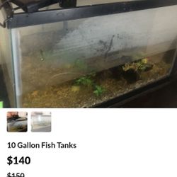 10 Gallon Fish Tank With Filter And Heater 
